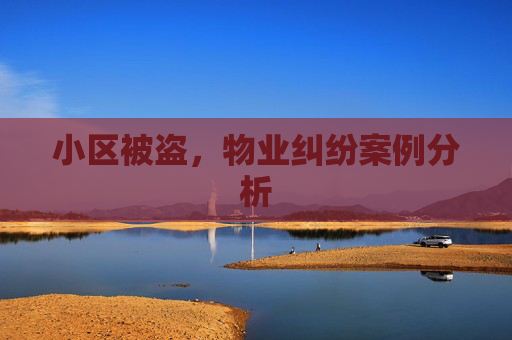 小区被盗，物业纠纷案例分析