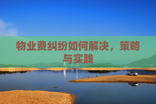 物业费纠纷如何解决，策略与实践