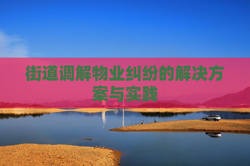 街道调解物业纠纷的解决方案与实践