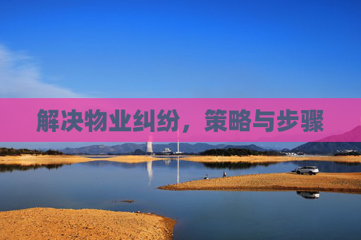 解决物业纠纷，策略与步骤