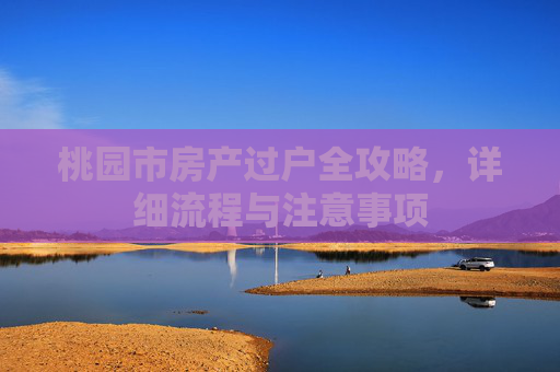 桃园市房产过户全攻略，详细流程与注意事项