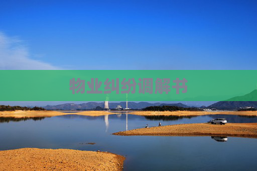 物业纠纷调解书