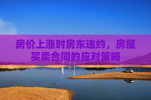 房价上涨时房东违约，房屋买卖合同的应对策略