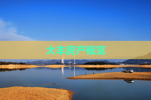 大丰房产概览