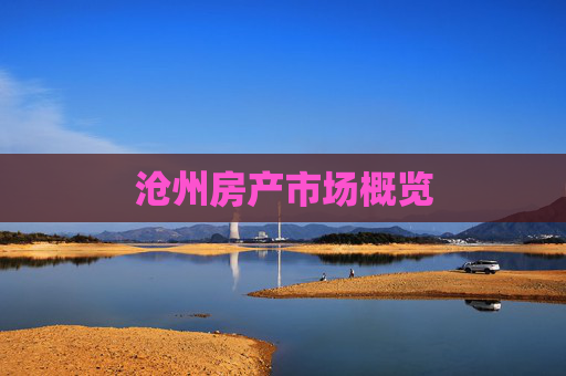 沧州房产市场概览